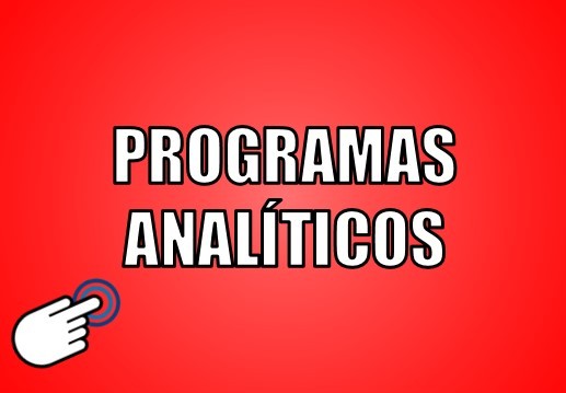 programas analíticos